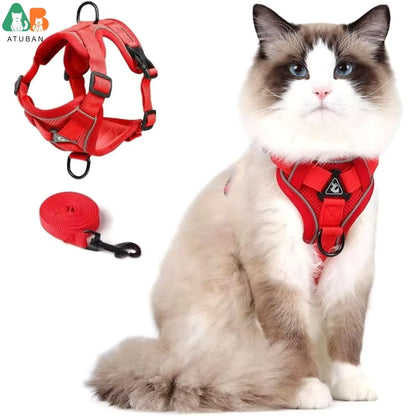 Harnais Chat Réfléchissant