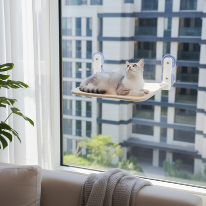 Hamac pour chat pliable à ventouses